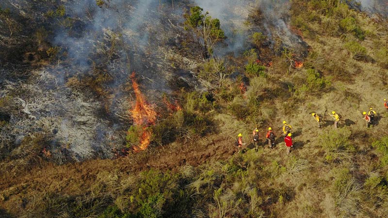 Mapping a forest fire