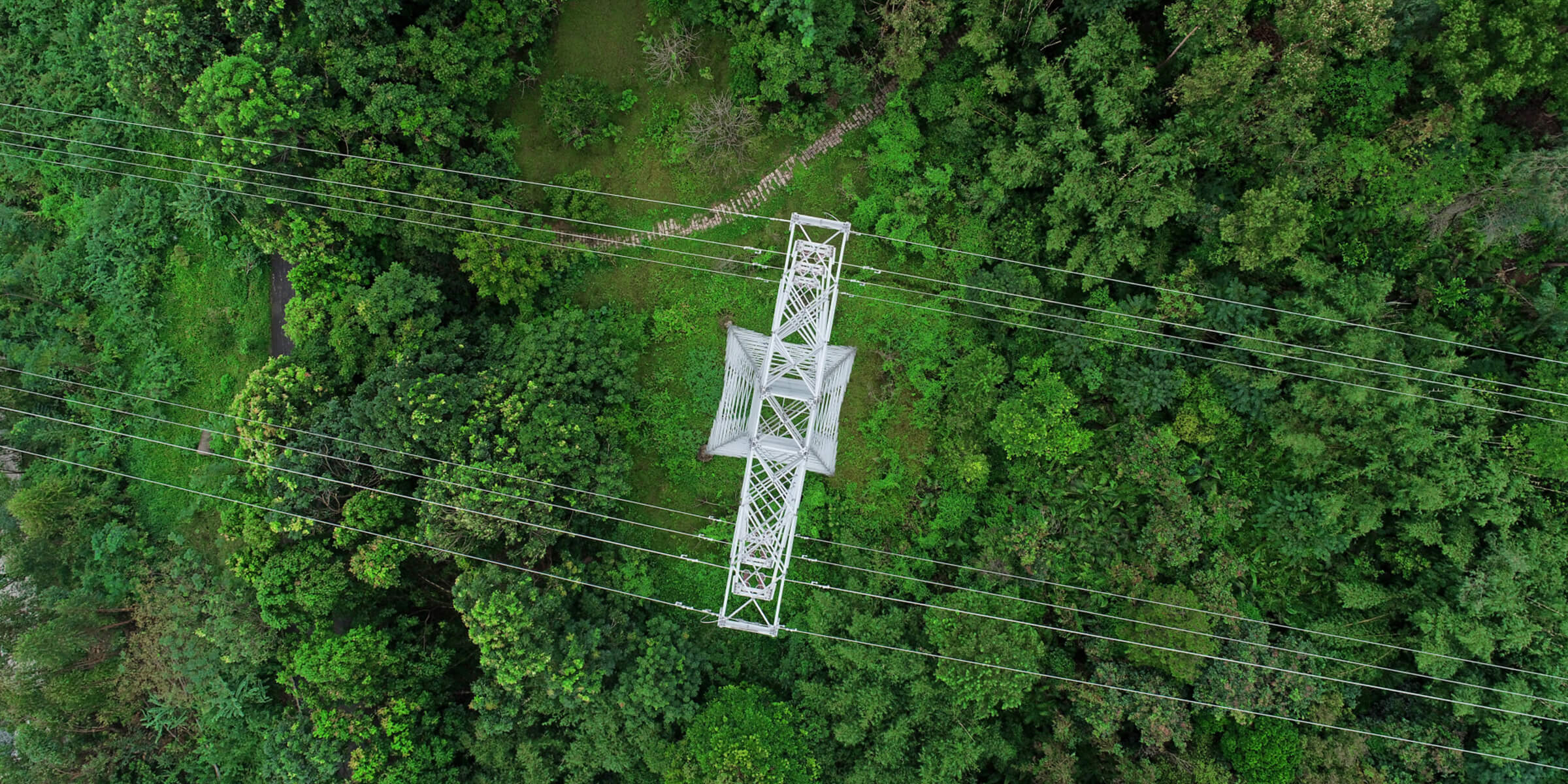 Pylon surrounded by vegetation, photographed from directly above